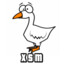 XSM