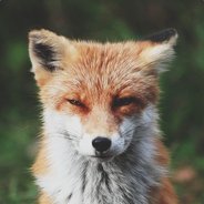 NAVI-йну