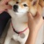 김치윤