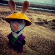 The Lupa avatar