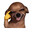 CHIHUAHUA_SORRIDENTI