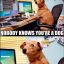 Dog