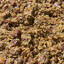 10yrOldJambalaya