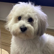 葛roove（恩师Deryck）