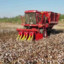 Sylex_the_cotton_picker