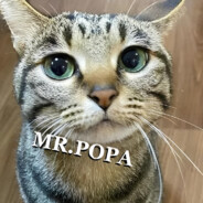 MR.POPA