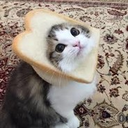 Catbread