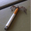smoking cigarette spider