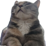 人生在世图个成果