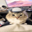 SirAnderson