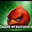 Фармлю 30 минут