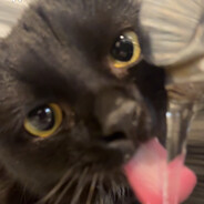 isakk - steam id 76561199212840667