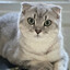 CASPER