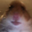 Lord Hamster