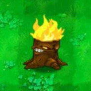 世一润（y3恩师）