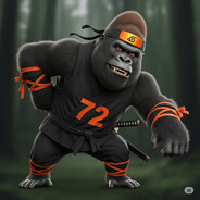 NinjaMasterWarrior72