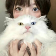 陈列柜内迂回的心