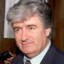 Karadžić