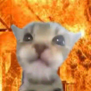 Chef Cat [Cooked]