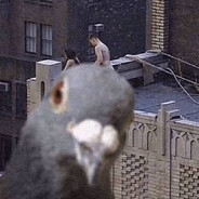 sleepy - steam id 76561199679132812