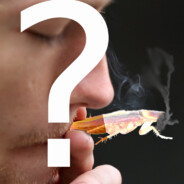 Are you a smoker?
