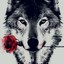 KIND_WOLF