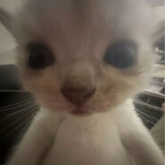 ВЫХОДИТЕ БЕСЫ - steam id 76561199367082215