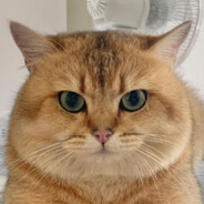 吃鸽子不吐鸽子皮