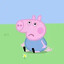 DoDo_Pig