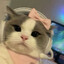 Avatar of 야옹