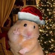 хаешка pig pig