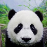 猴子请来的救兵