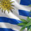 URUGUASHO