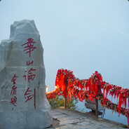 大王叫我老巡山