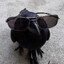 Little Birdie