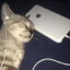 can&#039;t sleep