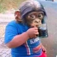 monke peek vurt