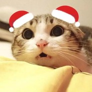 鱼和鸽子的迷信