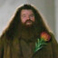 ◥HAGRID◤