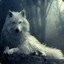 wonderwolf :)