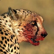 Angry - steam id 76561198163068512