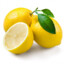 Citronen