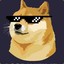 Doge with it