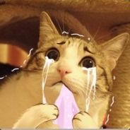 Kiss my ass