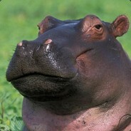 Saiman 's avatar