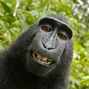 АНДРЕЙ КИСЛЯК