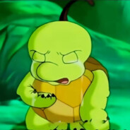 有双面的壳也很酷~