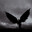 TGRaven