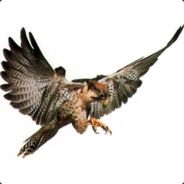 caty - steam id 76561197969393030