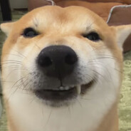 老子的海